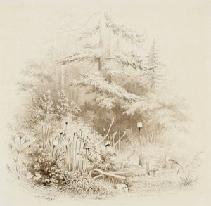 Lieu de sépulture indien, Oregon, 1841